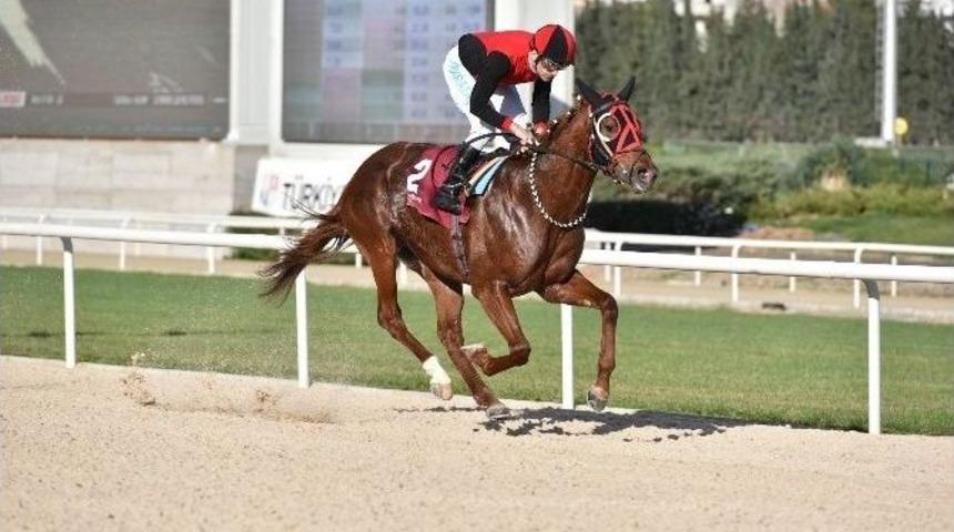 Tsyd İzmir Koşusu&rsquo;nu &ldquo;ilkaan&rdquo; Kazandı