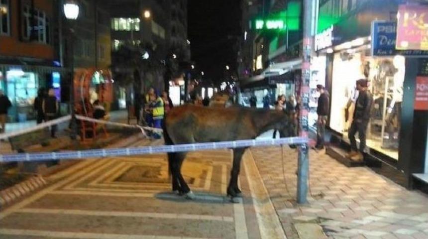 Atın Etrafına G&uuml;venlik Şeridi &Ccedil;ektiler