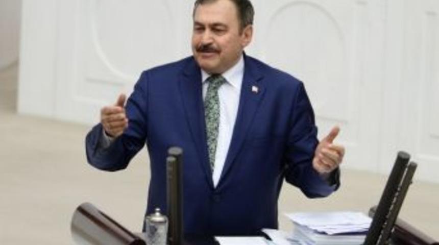 T&uuml;rkiye&rsquo;de Orman Varlığı Artıyor