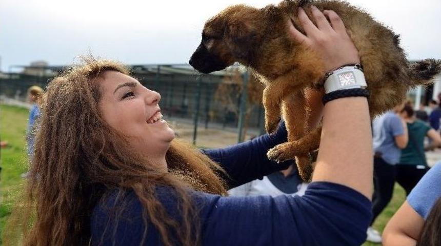 Lise &Ouml;ğrencilerinden Muratpaşa Veterinerliğine Ziyaret