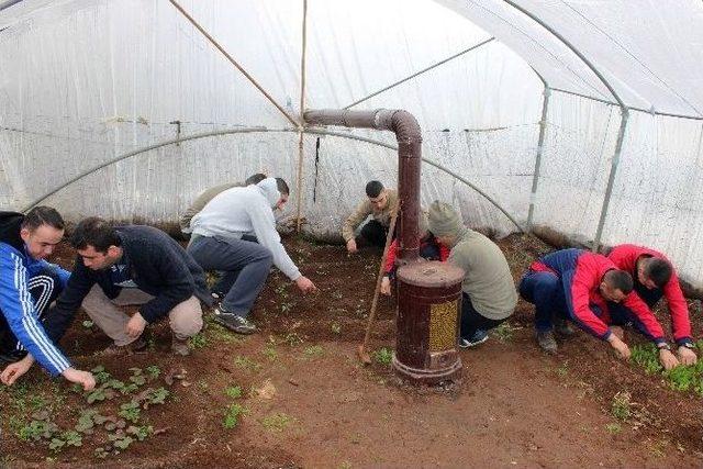 Mehmet&ccedil;ik, Kışlada Meslek &Ouml;ğreniyor 3