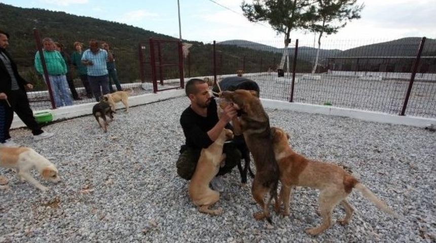 Bodrumsporlu Futbolcular Hayvan Barınağını Ziyaret Eti