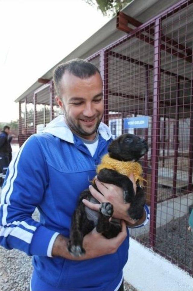 Bodrumsporlu Futbolcular Hayvan Barınağını Ziyaret Eti