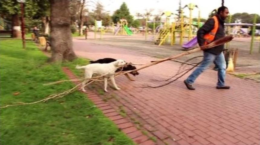 K&ouml;peklerin Park G&ouml;revlisiyle İnatlaşması