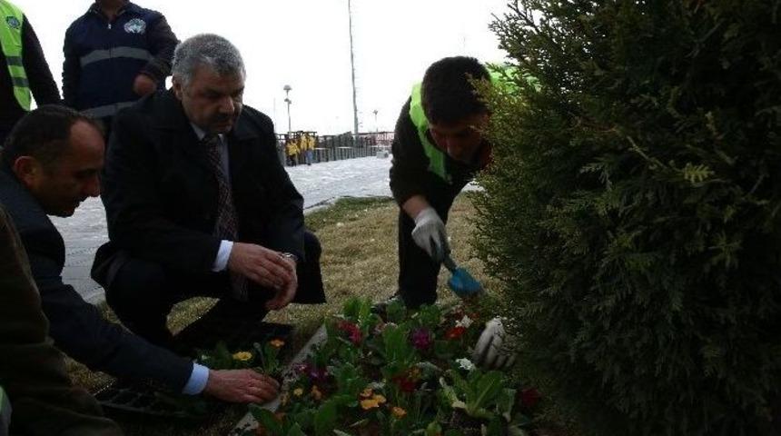 B&uuml;y&uuml;kşehir Daha Yeşil Bir Kayseri İ&ccedil;in &Ccedil;alışıyor