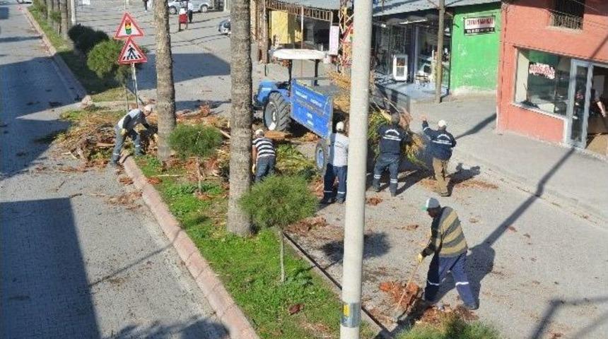 B&uuml;y&uuml;kşehir&rsquo;den, Ceyhan&rsquo;da Ağa&ccedil; Budama Ve Peyzaj &Ccedil;alışması
