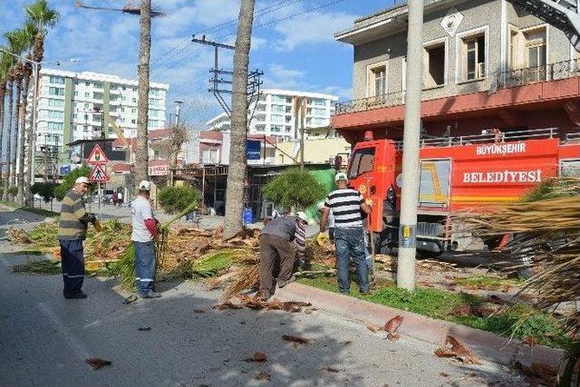 Büyükşehir’den, Ceyhan’da Ağaç Budama Ve Peyzaj Çalışması