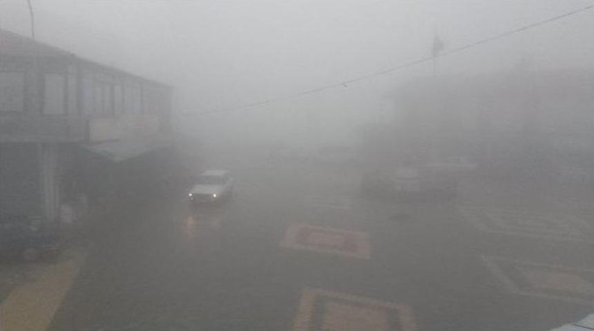 Sincik İl&ccedil;esinde Sis Etkili Oldu