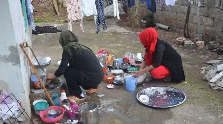 &Uuml;niversite &Ouml;ğrencilerden &Ouml;rnek Davranış