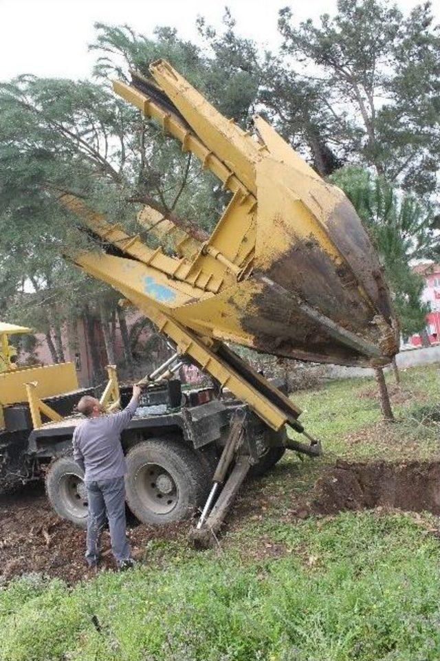 Ağa&ccedil;lara Kıyamadı 1