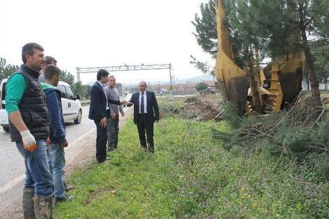 Ağa&ccedil;lara Kıyamadı 2