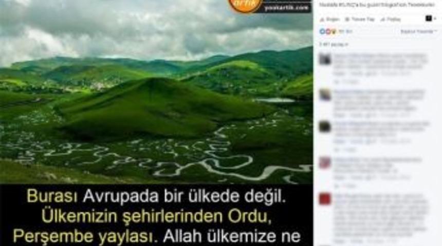 Aybastı Yayla Fotoğrafı Rekora Koşuyor