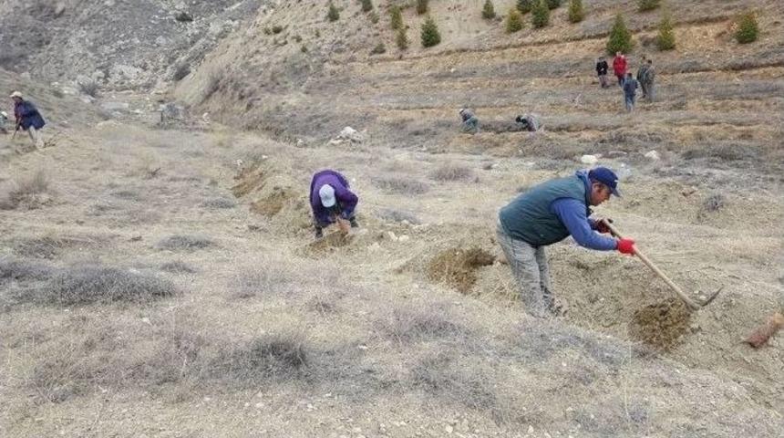 Korkuteli&rsquo;de 65 Bin Fidan Toprakla Buluştu