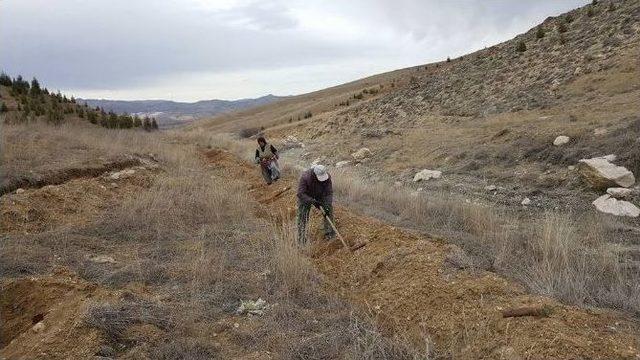 Korkuteli’de 65 Bin Fidan Toprakla Buluştu