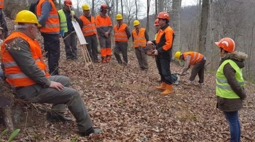 Ormanda &Uuml;retim Ve İş G&uuml;venliği Tatbikatı Yapıldı