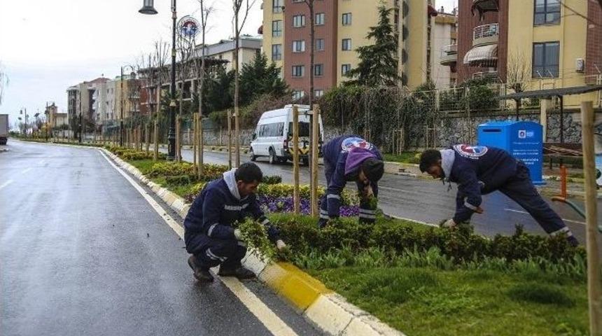 Maltepe’de Parklara Bahar Düzenlemesi