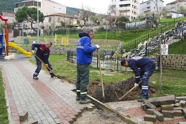 Maltepe’de Parklara Bahar Düzenlemesi