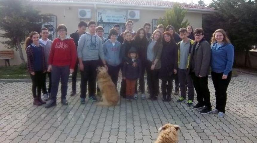 Sokak Hayvanları Ge&ccedil;ici Bakımevi&rsquo;ne &Ouml;ğrencilerden Ziyaret