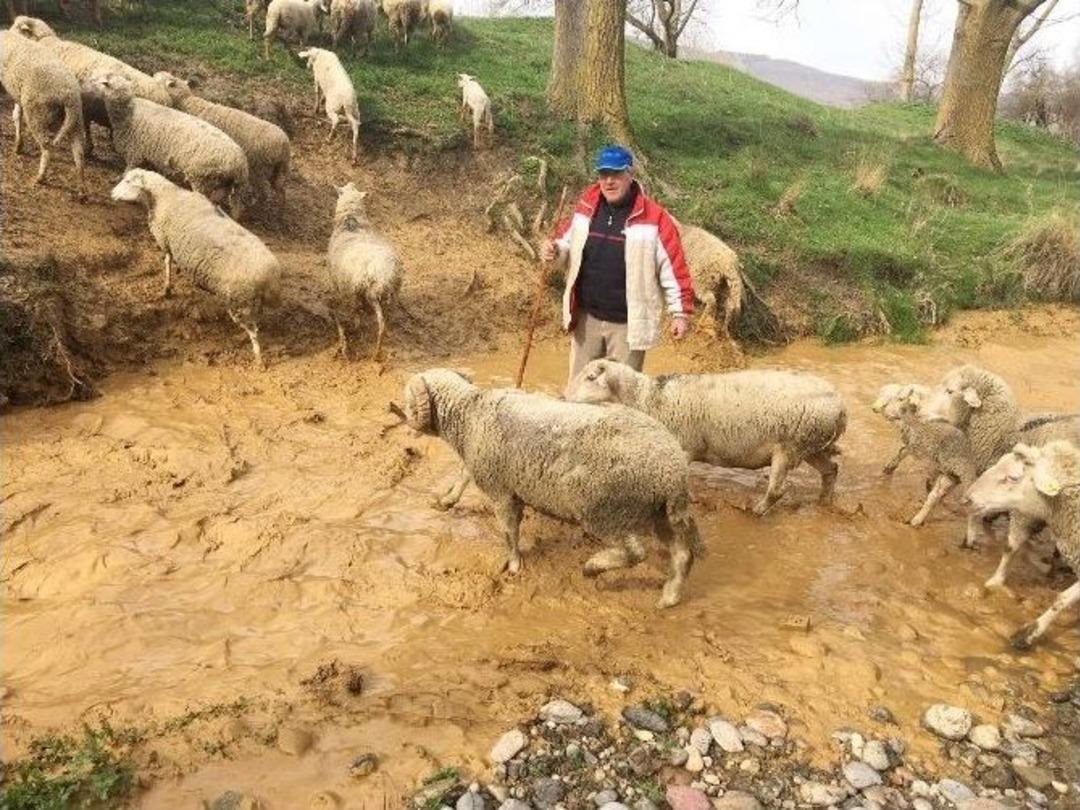 Beton Fabrikasının Havuzu Patladı, Dereyi &Ccedil;amur Bastı