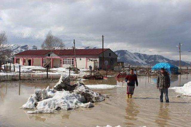 Kar Suları, Tarım Arazileri Ve Evleri Su Altında Bıraktı