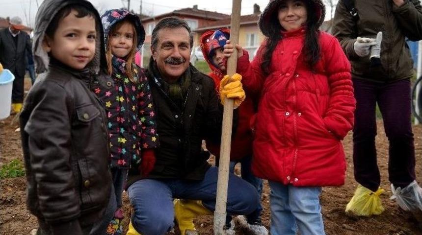 Eskişehir&rsquo;de Yerli Tohumu Destekleme &Ccedil;alışmaları