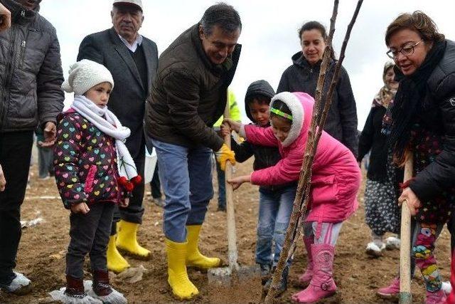 Eskişehir’de Yerli Tohumu Destekleme Çalışmaları