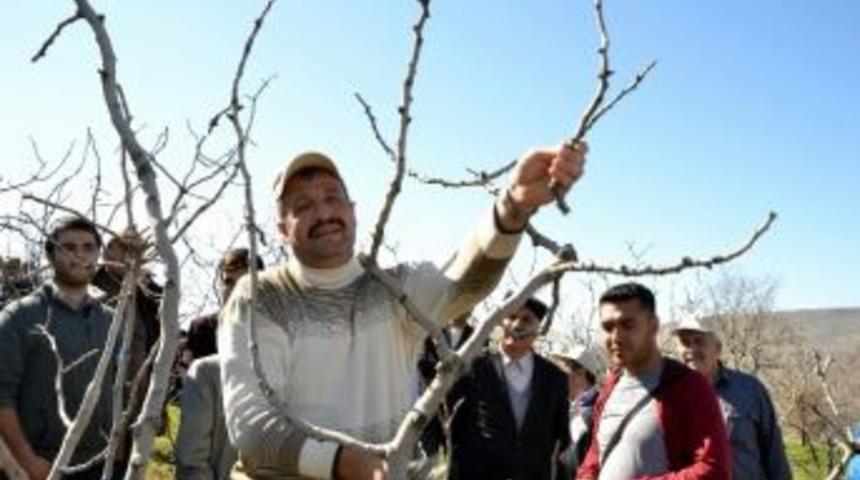 Siirt&rsquo;te Tarımda Kurumlar Arası İşbirliği İle Daha Kaliteli Verim Elde Edilmesi Ama&ccedil;lanıyor