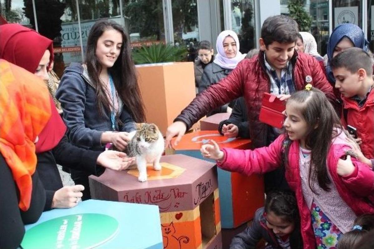 &Uuml;sk&uuml;darlı Gen&ccedil;lerden Sokak Kedilerine Rengarenk Yuvalar