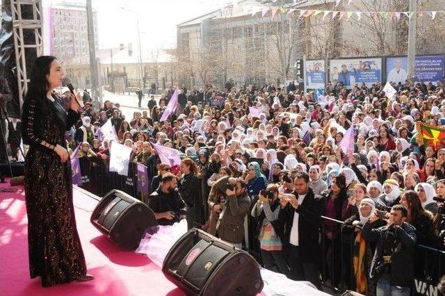 Van’da 8 Mart Dünya Kadınlar Günü Mitingi