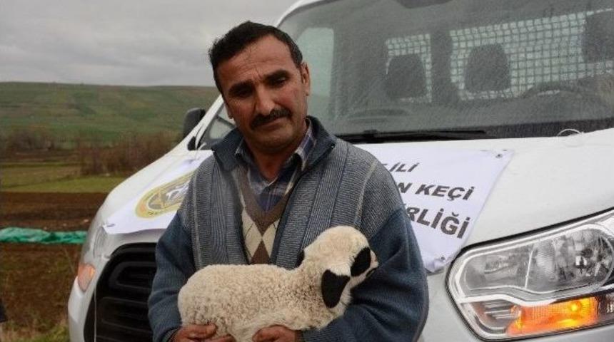 Tokat&rsquo;ta Dayanışma &Ouml;rneği