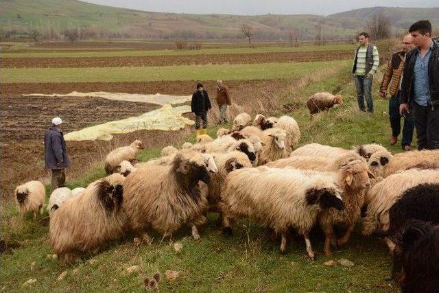 Tokat’ta Dayanışma Örneği