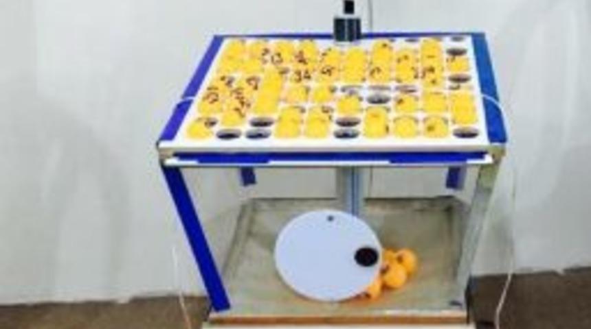 Malatya&rsquo;da Tombala Operasyonu