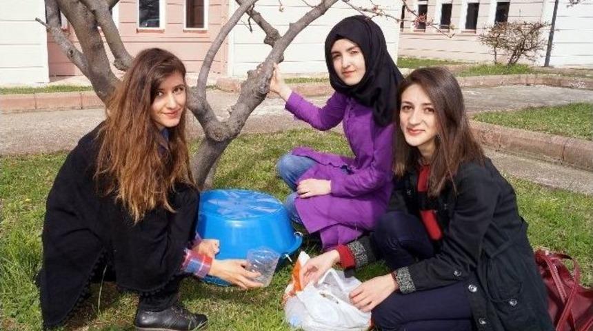 &Uuml;lk&uuml;c&uuml;lerden Sokak Hayvanları İ&ccedil;in Barınak