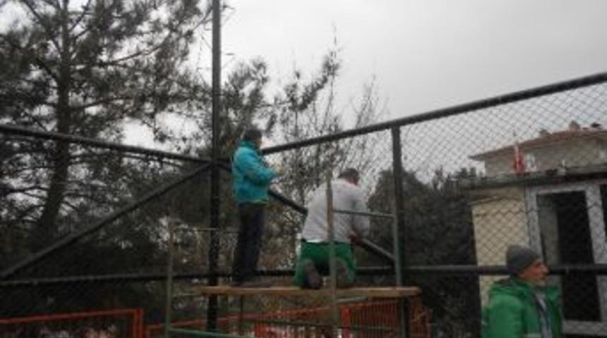 İzmit&rsquo;te Parklar, Yaza Hazırlanıyor