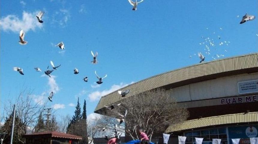 Kahramanmaraş&rsquo;ta 6. Filo G&uuml;vercin Festivali