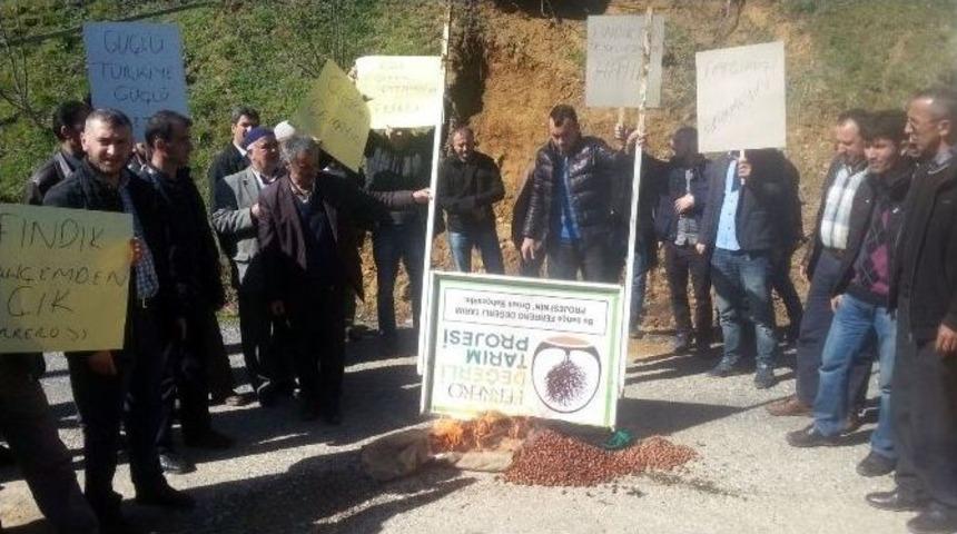 K&ouml;yl&uuml;lerden Fındık Fiyatları Protestosu