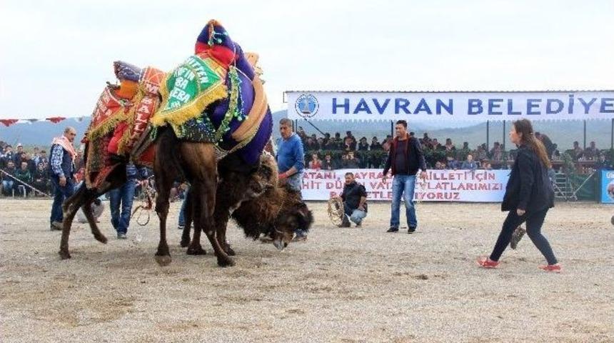 Bayan Deveci, İlgi Odağı Oldu