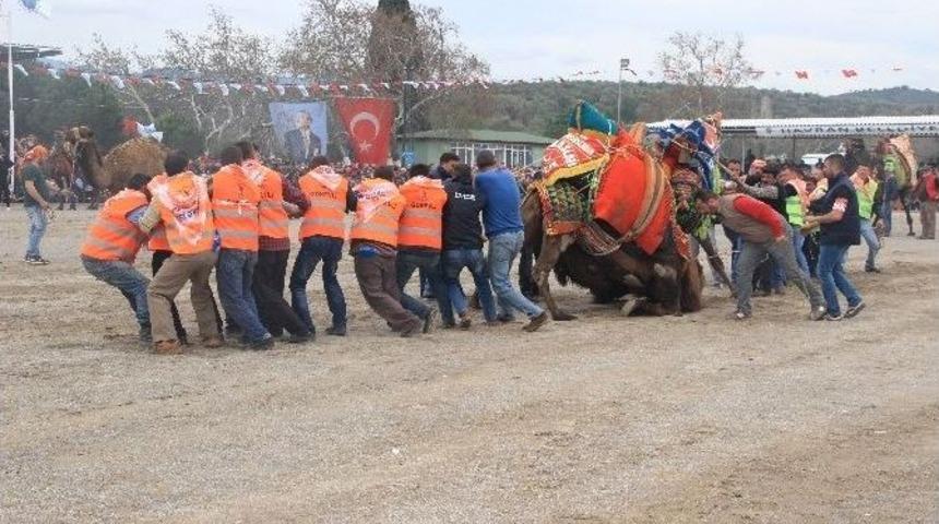 Havran&rsquo;da Develer Arenada Kapıştı