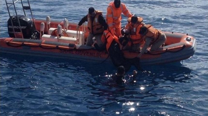 Didim&rsquo;deki M&uuml;lteci Faciasında 2 G&ouml;zaltı..