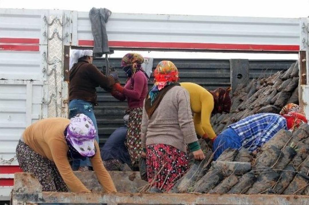 (&ouml;zel Haber) Kadınların Ekmek M&uuml;cadelesi