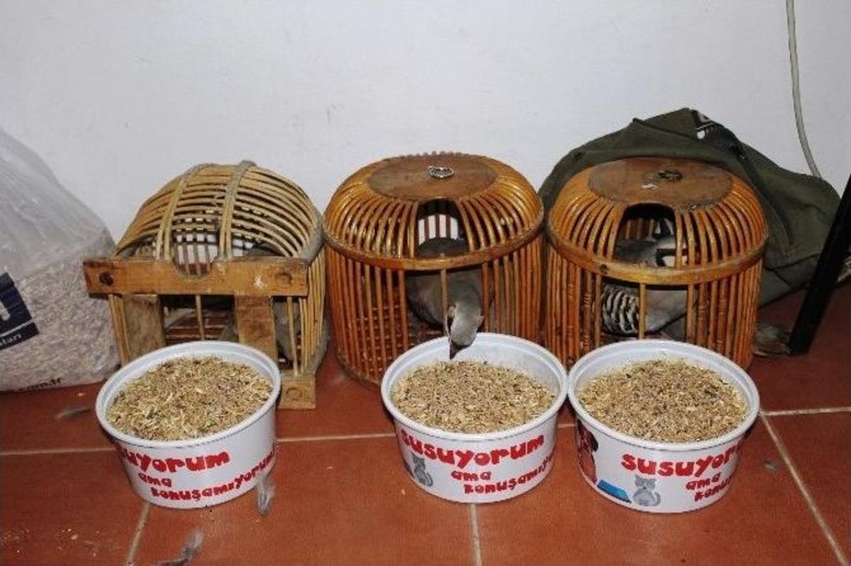 Canlı M&uuml;hreyle Ka&ccedil;ak Avlanan Avcıya Para Cezası