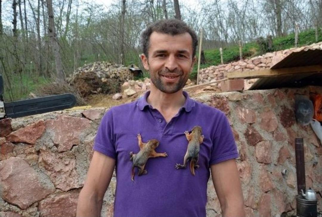 Annesi &Ouml;len Yavru Sincaplara Sahip &Ccedil;ıktı