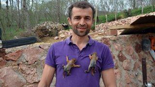 Annesi Ölen Yavru Sincaplara Sahip Çıktı