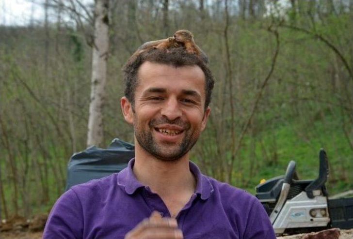 Annesi Ölen Yavru Sincaplara Sahip Çıktı G3