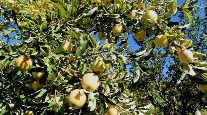 Savaklı Tarımsal Kalkınma Kooperatifi Kuruldu