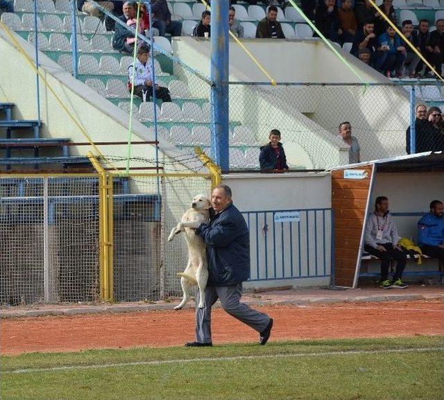 Sahaya Giren Davetsiz Misafire Hakem Müdahalesi