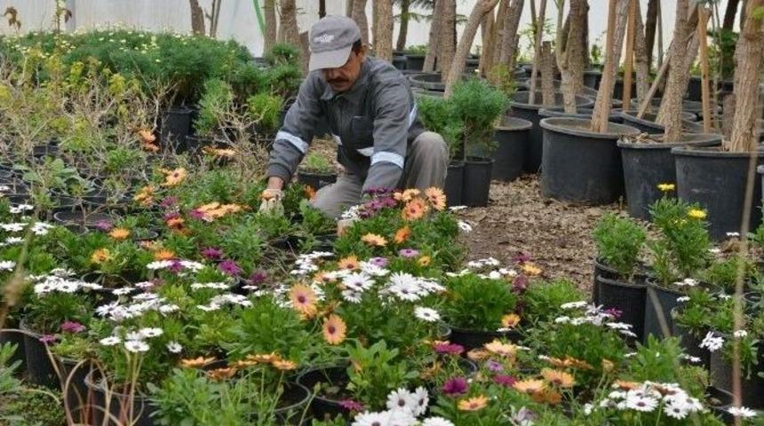 Baharın Renkleri Konyaaltı&rsquo;nda A&ccedil;ıyor