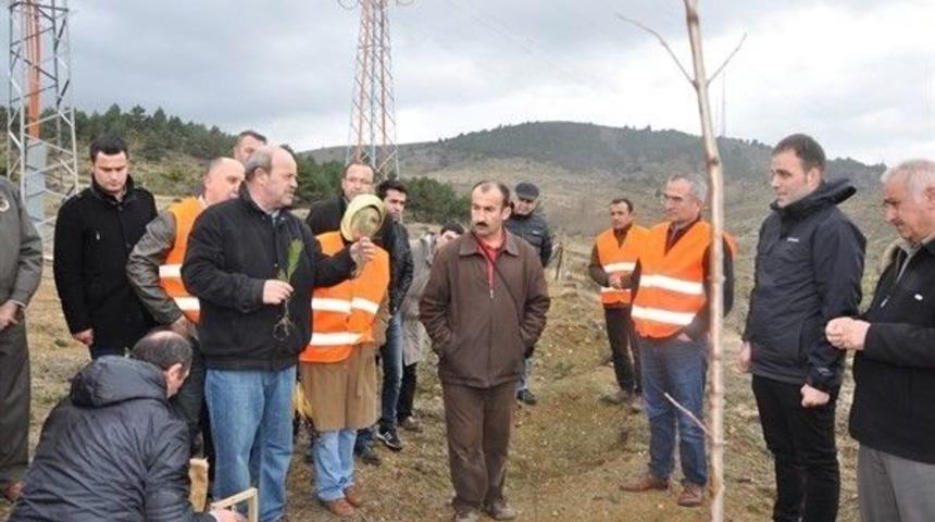 Kastamonu&rsquo;da Ağa&ccedil;landırma Eğitim Ve Tatbikatı Yapıldı
