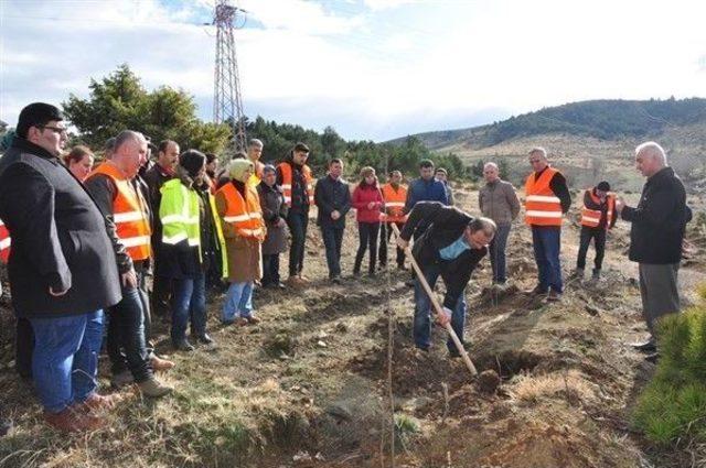 Kastamonu’da Ağaçlandırma Eğitim Ve Tatbikatı Yapıldı