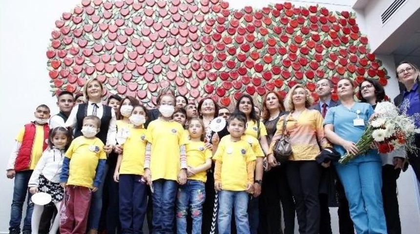 &rsquo;can Ağacı&rsquo;nın Meyveleri